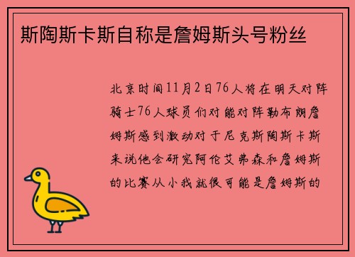 斯陶斯卡斯自称是詹姆斯头号粉丝